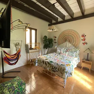 The Garden Apartment, The Willow Apartment, & The Tropical At Casa Of Essence In Old , San Juan Puerto Rico